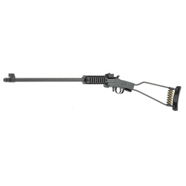 Carabine Chippa Cal 22 Lr Little Badger