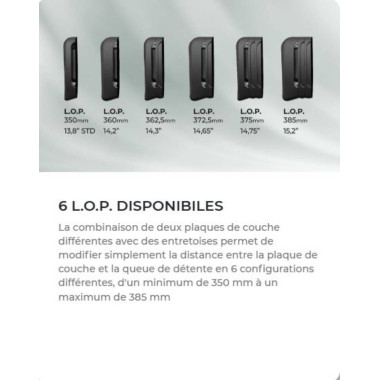 Carabine Lupo synthétique noire 30-06 fileté 14X100+Micro H2 2 moa special p-5CP 56CMCASQUETTE ET BRETELLE AIMPOIMT