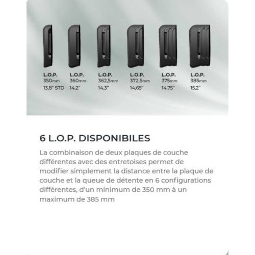 Carabine Lupo synthétique noire 30-06 fileté 14X100+Micro H-2