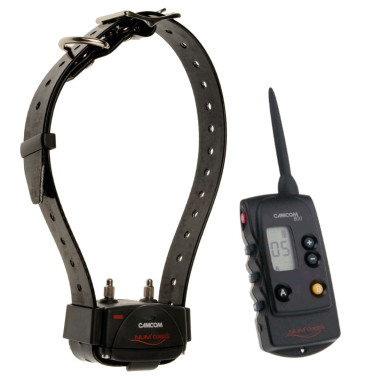 Collier Numaxe Dressage Canicom 800