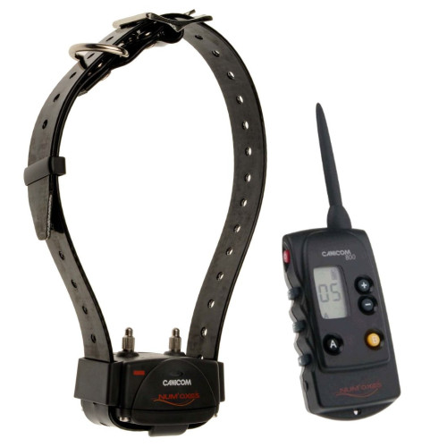 Collier Numaxe Dressage Canicom 800