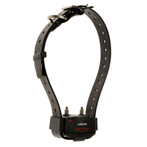 Collier Numaxe Dressage Canicom 800
