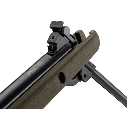 Carabine Gamo Big Cat Green 1000E Barricade 4.5 mm 19.9J + lunette LC 4 x 32 wr