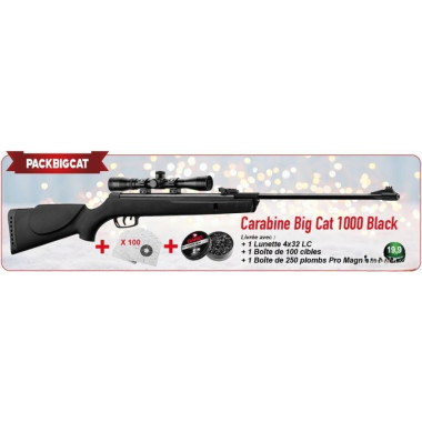 Carabine Gamo Big Cat Black 4.5mm 19.9j Pack+lunette+cibles+plombs